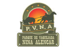 Nina Alencar